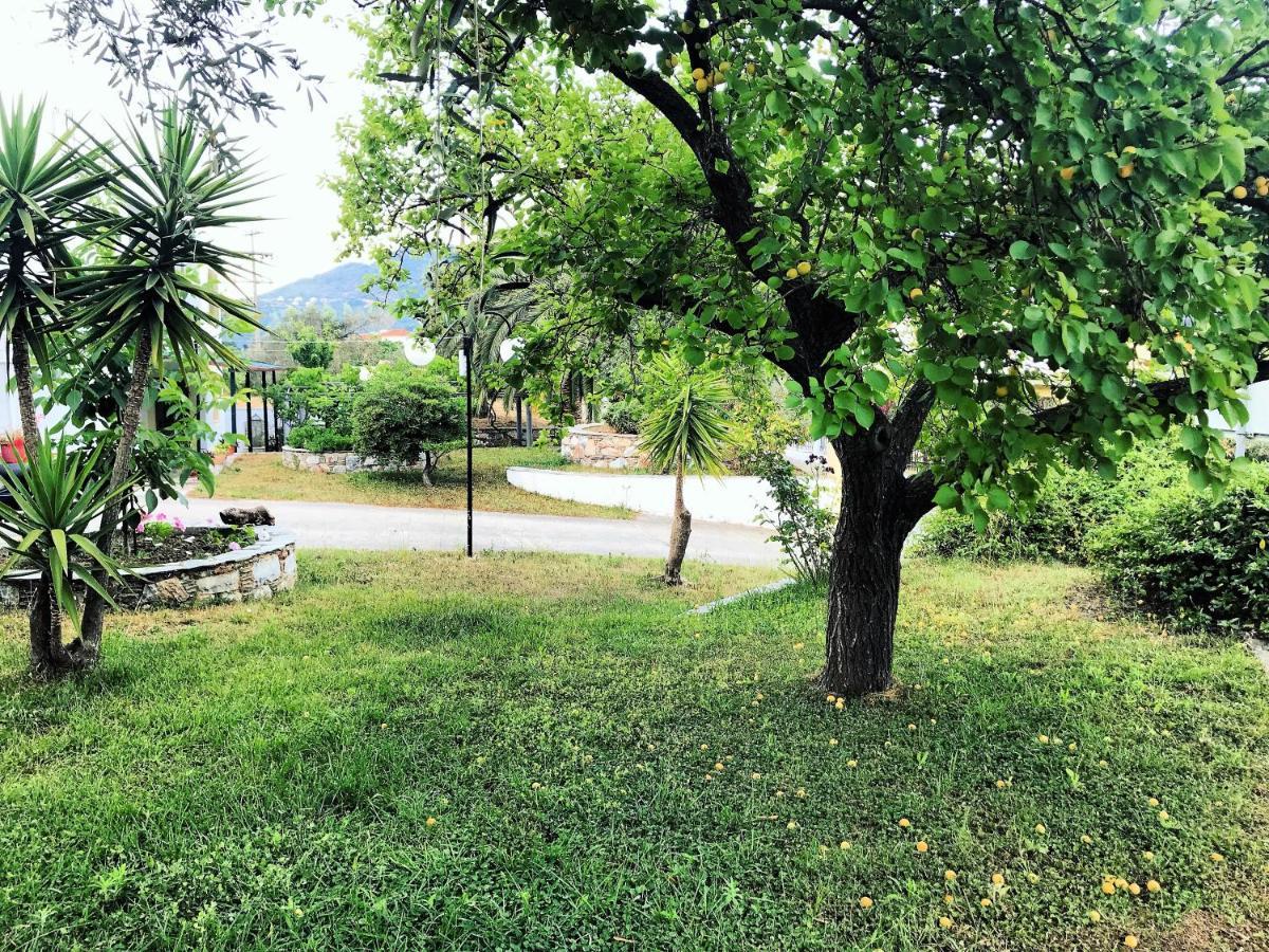 Pansion Episkopi Studios Skopelos Town Exterior photo