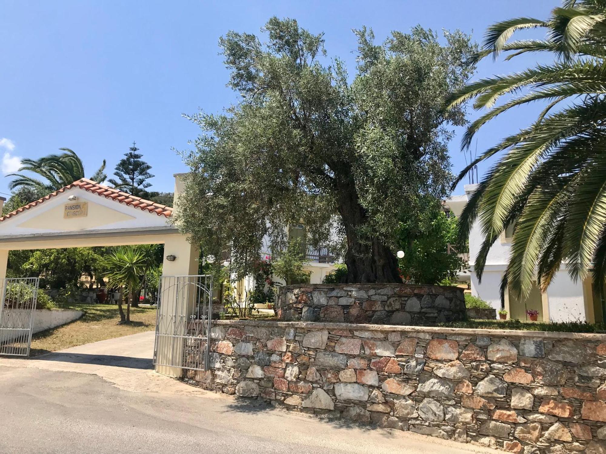 Pansion Episkopi Studios Skopelos Town Exterior photo
